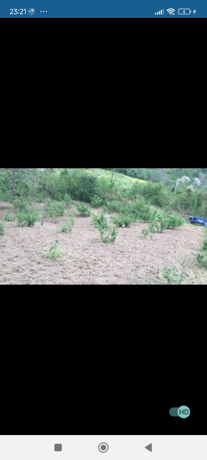 Fotoğraf